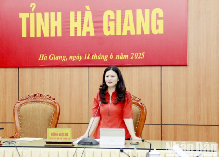 Đồng chí Vương Ngọc Hà, Phó Chủ tịch Ủy ban nhân dân tỉnh Hà Giang phát biểu tại cuộc họp. 2-20250618155337-1901.jpg