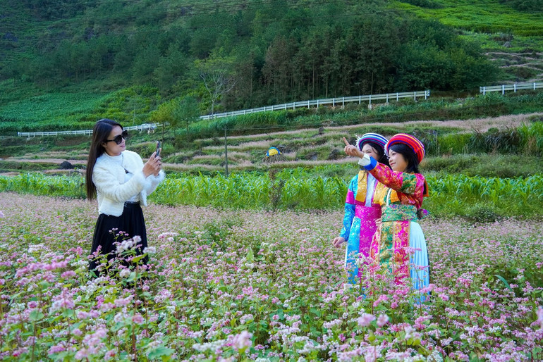 ในปี 2568 จังหวัดเตวียนกวางคาดว่าจะต้อนรับนักท่องเที่ยวมากกว่า 200,000 คน a20.jpg