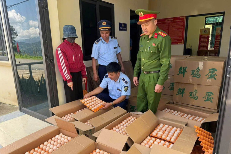 Công an xã Cán Tỷ và các cơ quan chức năng phát hiện hơn 10.000 quả trứng gà nhập lậu. a346.jpg