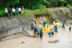 Xã Thượng Đức khẩn trương gia cố bờ kè khu dân cư Gò Dinh.