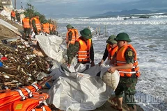 Quân khu 5 huy động gần 300 chiến sĩ xuống triển khai gia cố bờ biển sạt lở.