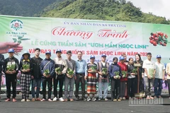 Chính quyền xã Trà Linh trao tặng sâm giống cho hộ nghèo.
