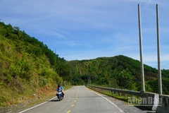 Nhiều trụ điện đã được dựng dọc đường Trường Sơn Đông qua địa phận xã Trà Đốc nhưng vẫn chưa được kéo dây, lắp đặt công tơ, trạm biến áp.