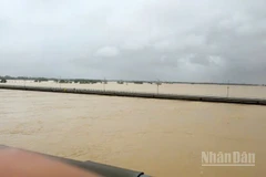 Nước sông Thu Bồn tại Câu Lâu ở mức xấp xỉ lũ lịch sử.