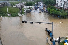 Khu vực chợ cá Thanh Hà, phường Hội An Tây, thành phố Đà Nẵng bị nước lũ chia cắt.