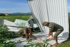 Lực lượng Công an xã hỗ trợ người dân khắc phục hậu quả do lốc xoáy gây ra.