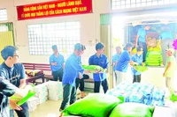 Các bạn trẻ phường Sa Đéc, tỉnh Đồng Tháp tiếp nhận, bốc xếp nhu yếu phẩm lên xe.