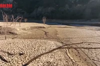 [Video] Nắng nóng gây thiệt hại 43 tỷ EUR cho châu Âu 