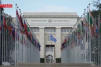 [Video] Liên hợp quốc đánh giá bất ổn thương mại toàn cầu 