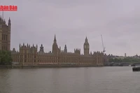 [Video] Anh công bố kế hoạch cải tổ chính sách nhập cư lớn nhất nửa thế kỷ 