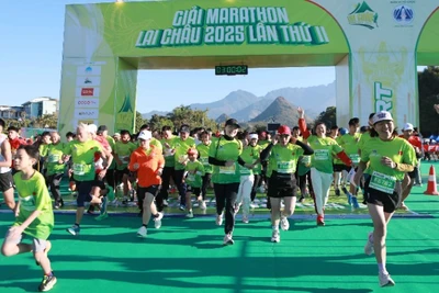 Giải lần này quy tụ hơn 1.500 vận động viên đến từ tất cả các địa phương trong cả nước và một số nước trên thế giới.