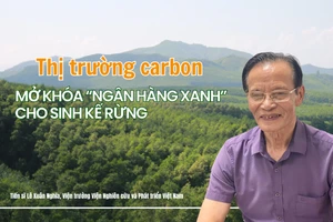 Tiến sĩ Lê Xuân Nghĩa, Viện trưởng Viện nghiên cứu và phát triển Việt Nam.