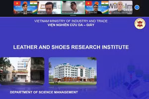 Hội thảo trực tuyến với chủ đề “Định hình tương lai hợp tác da giày Việt Nam-Ấn Độ” diễn ra ngày 9/4.