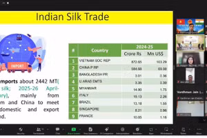 Hội thảo trực tuyến “Tăng cường kết nối, thúc đẩy hợp tác và đổi mới sáng tạo trong ngành dệt may và da giày Việt Nam-Ấn Độ”. (Ảnh do Thương vụ Việt Nam tại Ấn Độ cung cấp)