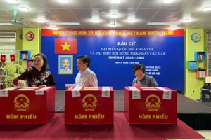 Đồng chí Phạm Thúy Chinh - Phó Chủ nhiệm Ủy ban Kinh tế tài chính Quốc hội và đồng chí Bùi Trung Kiên - Phó Cục trưởng Cục Quản trị Văn phòng Quốc hội bỏ phiếu tại khu vực bỏ phiếu số 23, phường Thanh Xuân.