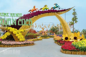 Đường hoa Home Hanoi Xuan 2026 mở ra một không gian văn hóa mùa xuân giàu bản sắc, nơi các giá trị truyền thống của Tết Việt.