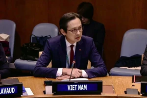 Đại sứ Đỗ Hùng Việt phát biểu tại Tọa đàm Hiệp ước Hữu nghị và Hợp tác ở Đông Nam Á. (Ảnh do Phái đoàn thường trực Việt Nam tại Liên hợp quốc cung cấp).