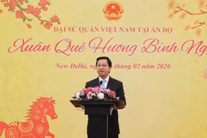 Đại sứ Nguyễn Thanh Hải phát biểu tại sự kiện. (Ảnh: Đại sứ quán Việt Nam tại Ấn Độ cung cấp)