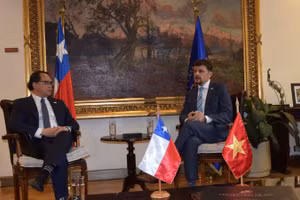 Đại sứ Nguyễn Việt Cường và Chủ tịch Ủy ban Đối ngoại Hạ viện Stephan Schubert. (Ảnh do Đại sứ quán Việt Nam tại Chile cung cấp)