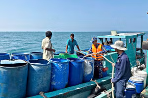 Người dân đảo Hòn Chuối sử dụng thùng phuy vận chuyển nước từ Tàu 527 lên đảo. (Ảnh do Vùng 5 Hải quân cung cấp)