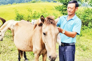 Anh Hồ Chử Vàng - nông dân điển hình làm kinh tế giỏi ở xã Phìn Hồ, huyện Nậm Pồ, tỉnh Điện Biên.