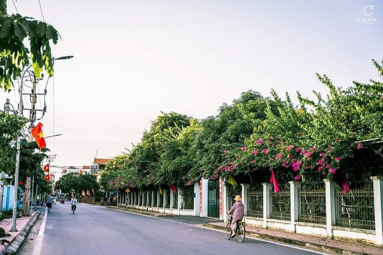 Một tuyến đường xanh sạch đẹp của xã Đan Phượng. photo-1754027304590-1754027304997137573449.png