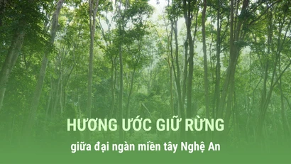 Hương ước giữ rừng giữa đại ngàn miền tây Nghệ An