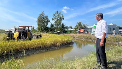 Kỹ sư Hồ Quang Cua: Một đời làm khoa học giữa đồng ruộng đổi mới