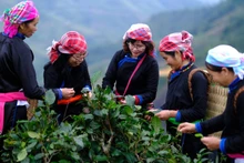 Du khách Việt Nam trải nghiệm văn hóa tại bản Liền (Lào Cai). (Ảnh: CAO HƯƠNG)