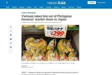 Báo Nikkei Asia nhận định chuối Việt Nam đang có lợi thế tại thị trường Nhật Bản. (Ảnh chụp màn hình: TTXVN)