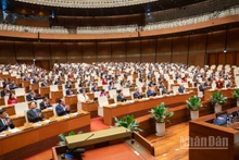Quang cảnh phiên họp của Quốc hội, sáng 27/6/2025. (Ảnh: DUY LINH)