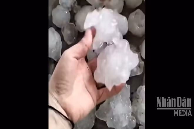 [Video] Mưa đá tiếp tục xuất hiện, gây thiệt hại tại Nghệ An và Hà Tĩnh
