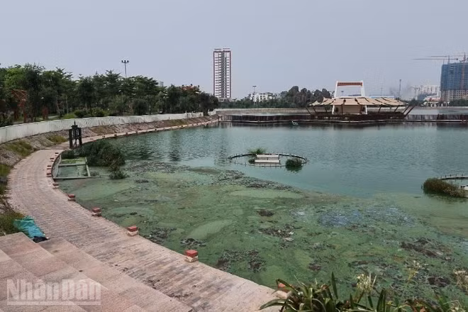 Hồ điều hòa Ngọc Thụy có dấu hiệu ô nhiễm sau thời gian đưa vào sử dụng. (Ảnh: HỒNG QUÂN)