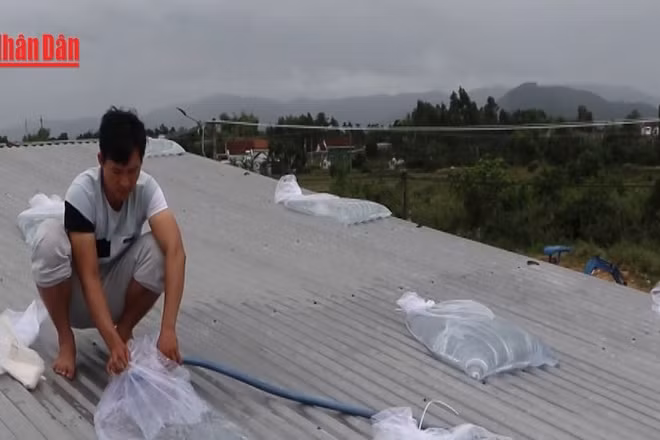 [Video] Chủ động, khẩn trương ứng phó bão số 13