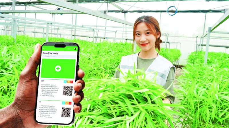 Giải pháp công nghệ của Công ty cổ phần Công nghệ cao Hachi Việt Nam giúp nông dân giảm chi phí, bảo vệ tài nguyên và giảm phát thải khí nhà kính. (Ảnh: BÍCH LIÊN)