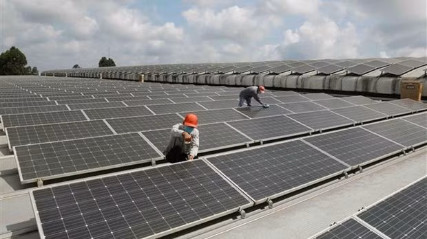 Ảnh minh họa. (Ảnh: Vũ Sinh/TTXVN)