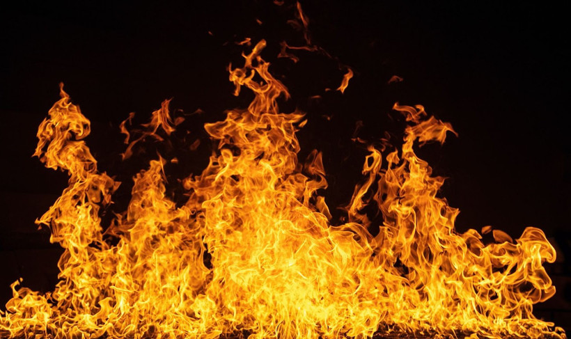 Ảnh minh họa. (Nguổn: TTXVN)