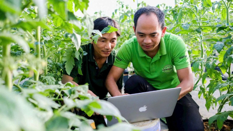 Anh Nguyễn Đức Huy hướng dẫn nhân công về hệ thống điều khiển trang trại VietPorics.