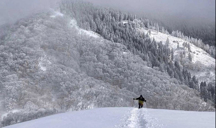 Một du khách leo núi Ryozen, Nhật Bản ngày 31/1. (Ảnh: Yamap)