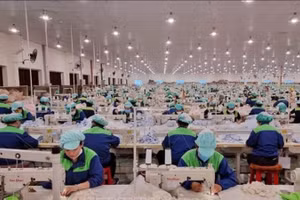 Một nhà máy sản xuất hàng dệt may bên trong khu công nghiệp Du Long, Khánh Hòa. (Ảnh: TTXVN)