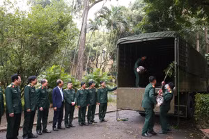 Cục Xe máy-Vận tải vận chuyển 40 cây kim giao vào khu mộ Đại tướng Võ Nguyên Giáp.