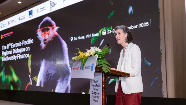 Bà Ramla Khalidi, Trưởng đại diện thường trú UNDP tại Việt Nam phát biểu tại sự kiện. z7041676621754-1c5106229819b4e3b6d0b7b870413734-701.jpg