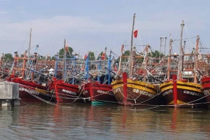 Tàu thuyền của ngư dân Quảng Bình neo đậu tránh trú bão ở Khu neo đậu sông Gianh.
