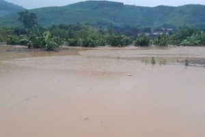 Một số vùng dân cư ở vùng thấp trũng của huyện Tuyên Hóa (Quảng Bình) ngập lụt. (Ảnh: VT)