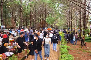 Đông đảo du khách đến với Măng Đen dịp Lễ Quốc khánh