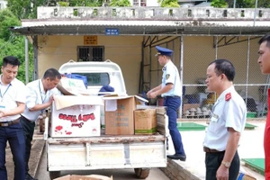 Đoàn kiểm tra liên ngành chứng kiến tiêu hủy thực phẩm không rõ nguồn gốc. (Ảnh: CDC ĐIỆN BIÊN)