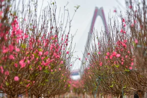 Ảnh THÀNH ĐẠT.