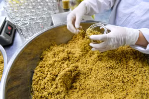 [Ảnh] Khám phá quy trình sản xuất ruốc hàu đặc sản của Vân Đồn 