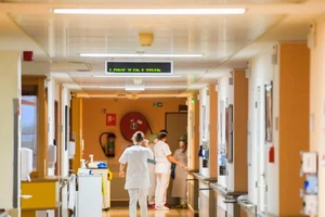 (Ảnh: Getty images)