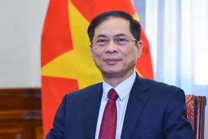 Phó Thủ tướng, Bộ trưởng Ngoại giao Bùi Thanh Sơn. (Ảnh: chinhphu.vn)